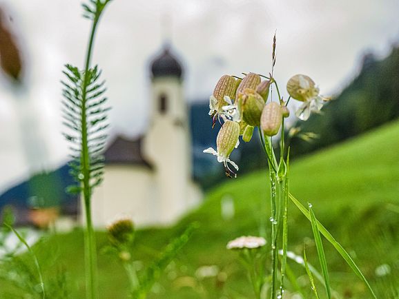Sommer im Lechtal - Lechtaler Auszeitdörfer Pfarrkirche Hinterhornbach